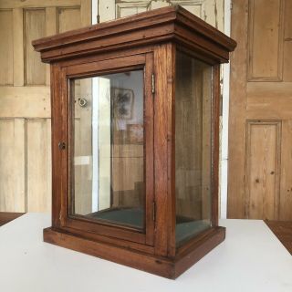 Vintage Oak And Glass Display Cabinet Taxibermy With Lock And Key