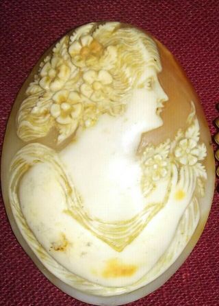 Large Antique Real Shell Lady Woman W/flowers Cameo Loose Unset 8.  5 Esemco
