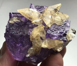 ,  Rare Calcite On Fluorite Cluster Elmwood Mine,  Tennessee,