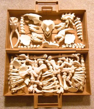 Vintage 1980s Fisher Price 6613 - Design - A - Saur Bones - Dinosaur Set With Case