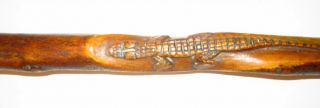1918 Astor,  Fl Hand Carved Walking Stick Orange Wood Alligator Fish Etc