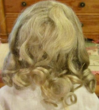 G151 Antique 8 " Finest Mohair Wig For French Or German Bisque Doll