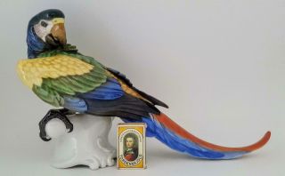 Rare 15 Inch Rosenthal Hand Painted Parrot / Macaw Bird Figurine C1935 1