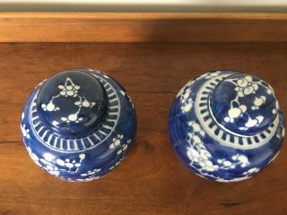 2 Antique/vintage Chinese blue and white prunus ginger jars with lids - 6 