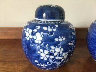 2 Antique/vintage Chinese blue and white prunus ginger jars with lids - 6 