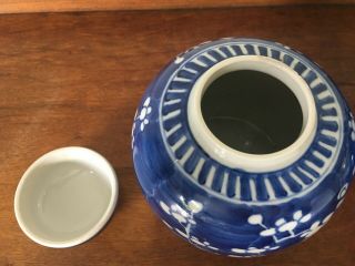 2 Antique/vintage Chinese blue and white prunus ginger jars with lids - 6 