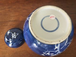 2 Antique/vintage Chinese blue and white prunus ginger jars with lids - 6 