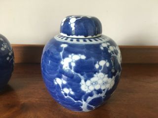 2 Antique/vintage Chinese blue and white prunus ginger jars with lids - 6 