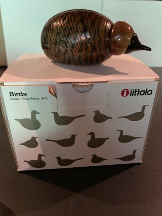Iittala Oiva Toikka Baby Kiwi Bird Art Glass Mouth Blown Rare Nib 2006