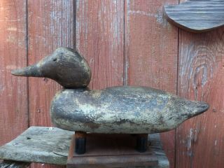 Antique Mason Canvasback Hen Decoy Tack - Eye Model Folk Art