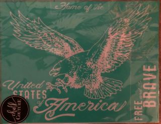 Extremely Rare United States Of America Usa Eagle Chalk Couture Transfer