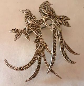 Vintage Australian Lega Sterling Silver Marcasite Bird Of Paradise Brooch
