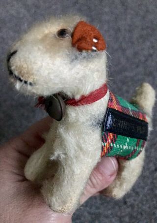 Vintage 1950 ' s Vogue Doll - Ginny ' s Miniature Steiff Puppy Dog Fox Terrier W/ID 3