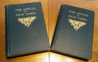 The Apples Of York Volume 1 And 2 By S.  A.  Beach Rare Vintage Books