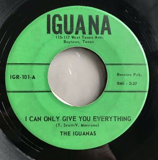 The Iguanas - I Can Only Give You Everything 45 Rare 1966 Texas Garage Psych