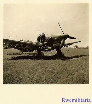 Best Luftwaffe Airmen W/ Ju - 87 Stuka Dive Bomber In Grass Field