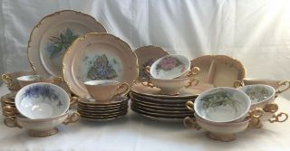 Vintage 1962 Place Settings Of Bavarian China Hand Painted By Agnus Visokay 42pc