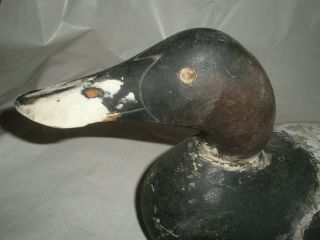 Vintage Antique Solid Wood Painted Duck Decoy Glass Eye Unusual Beak 6