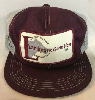 Vintage Landmark Genetics Patched Farm Hat Mesh K Brand Usa Snapback Trucker Cap