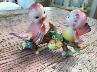 Vintage Norcrest Anthropomorphic Pink Birds Sitting On Branch Pears Bluebird