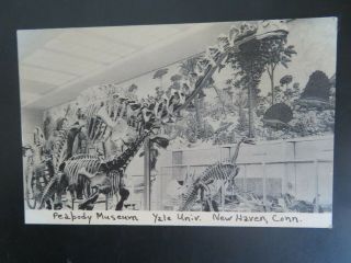 Vintage Postcard Dinosaurs Peabody Museum Of Natural History Yale University