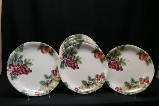 Set Of 6 Royal Doulton Vintage Grapes Dinner Plates - England 1994