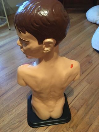 Vintage Anatomy Model Medical Teaching Boy Torso Mannequin Anatomical 2