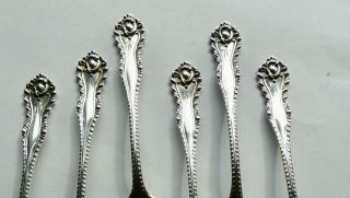 Dominick & Haff Sterling Silver Set of 6 Demitasse Spoons 1892 Mazarin Pattern 3