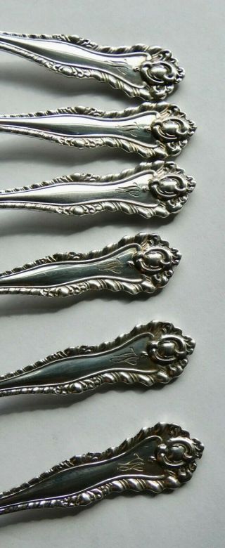 Dominick & Haff Sterling Silver Set of 6 Demitasse Spoons 1892 Mazarin Pattern 7