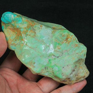 1331.  5ct 100 Natural American Turquoise Crystal Shape Rough Specimen Myzjt231