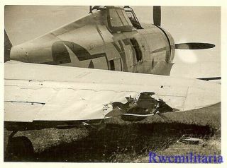 Org.  Photo: P - 47 Fighter Plane W/ Cannon Fire Damage To Tail On Airfield