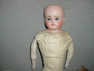 Antique Closed Mouth Turned Head Bisque Doll 4