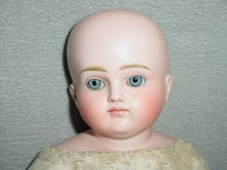 Antique Closed Mouth Turned Head Bisque Doll 6