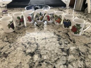Vintage Portmeirion Pomona Tankard Mug,  Set Of 8 Assorted Motifs Coffee Cup