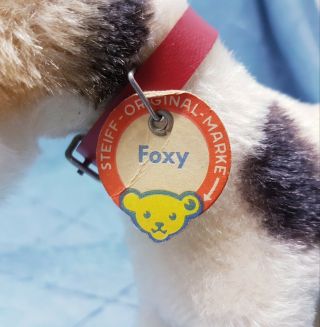 Steiff Foxy Fox Terrier 6.  7 