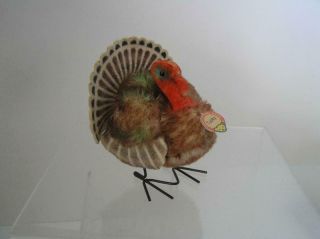 Vintage Steiff Tucky Turkey 4 " Tall With All Id Chest Tag,  Button,  And 1/2 Stock