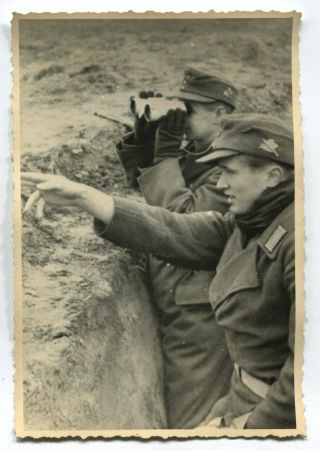 German Wwii Archive Photo: Wehrmacht Soldiers In Trench