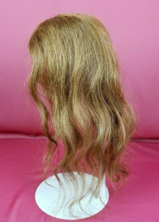 Antique Human Hair Doll Wig Your For German Or French Antique Dolls 3