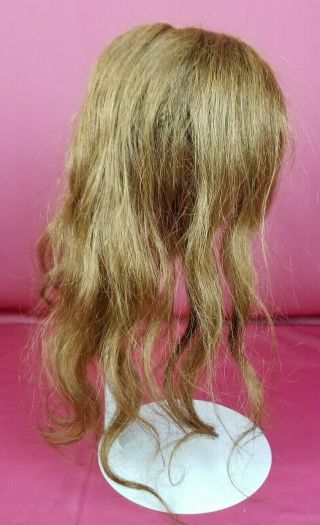 Antique Human Hair Doll Wig Your For German Or French Antique Dolls 4