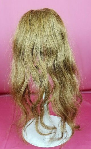 Antique Human Hair Doll Wig Your For German Or French Antique Dolls 5