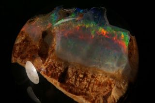 RARE Precious Opal after Petrified Wood VIRGIN VALLEY,  NEVADA 10