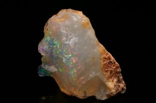 RARE Precious Opal after Petrified Wood VIRGIN VALLEY,  NEVADA 12
