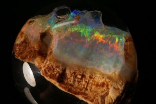 Rare Precious Opal After Petrified Wood Virgin Valley,  Nevada