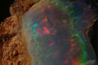 RARE Precious Opal after Petrified Wood VIRGIN VALLEY,  NEVADA 3