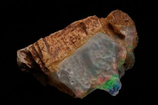 RARE Precious Opal after Petrified Wood VIRGIN VALLEY,  NEVADA 4