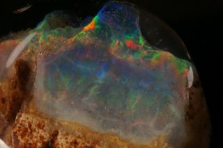 RARE Precious Opal after Petrified Wood VIRGIN VALLEY,  NEVADA 5