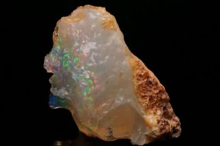 RARE Precious Opal after Petrified Wood VIRGIN VALLEY,  NEVADA 7