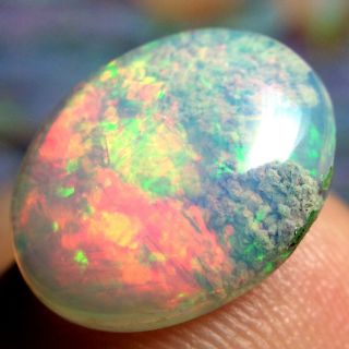 4.  15ct Stunning Broad Flash Ethiopian Welo Opal With Rare Coral Fossil Video