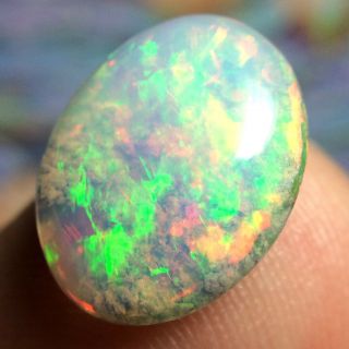4.  15ct STUNNING Broad Flash Ethiopian Welo Opal with Rare Coral Fossil VIDEO 2