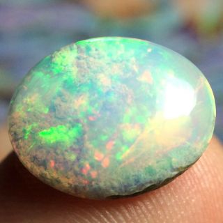 4.  15ct STUNNING Broad Flash Ethiopian Welo Opal with Rare Coral Fossil VIDEO 3